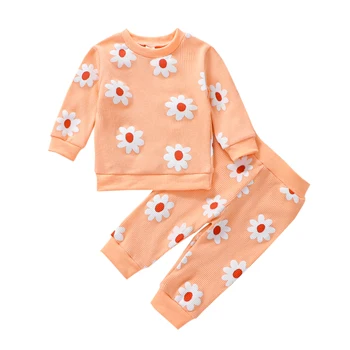 0-24 м, одежда с цветочным рисунком для маленьких девочек, хлопковые топы с длинными рукавами, брюки, 2 предмета, весенне-осенняя одежда для маленьких девочек, наряды