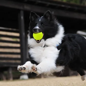 Резиновый теннисный мяч для собаки, игрушка для жевания, развлечения на открытом воздухе, теннисный мяч, Интерактивные игрушки для собак, товары для домашних животных, Уличная игрушка для крикета, игрушка-непоседа